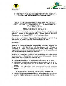 Procedimiento Para Elección Comité Paritario De Salud Ocupacional